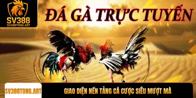 Giao diện nền tảng cá cược siêu mượt mà