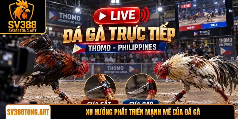 Xu hướng phát triển mạnh mẽ của đá gà