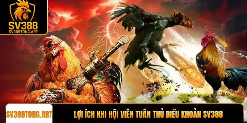 Lợi ích khi hội viên tuân thủ Điều khoản sử dụng SV388