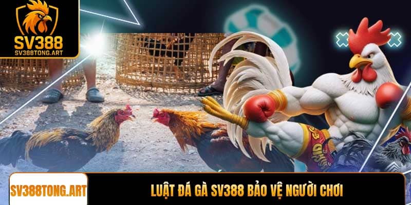 Luật đá gà SV388 bảo vệ người chơi