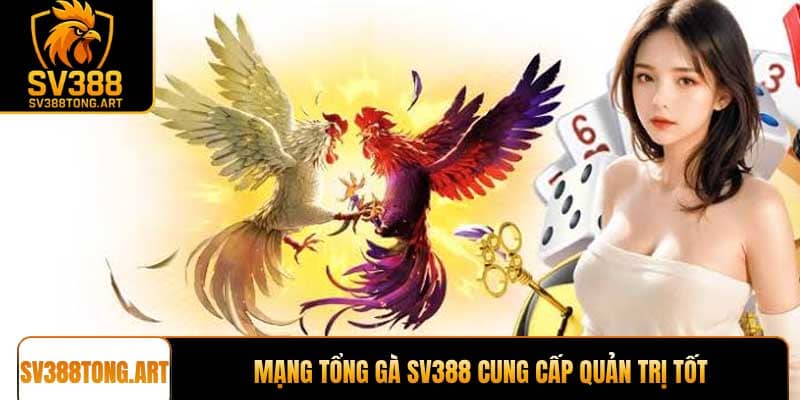 Mạng tổng gà SV388 cung cấp quản trị tốt