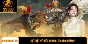 SV388 lừa đảo không và thông tin xác thực từ chuyên gia