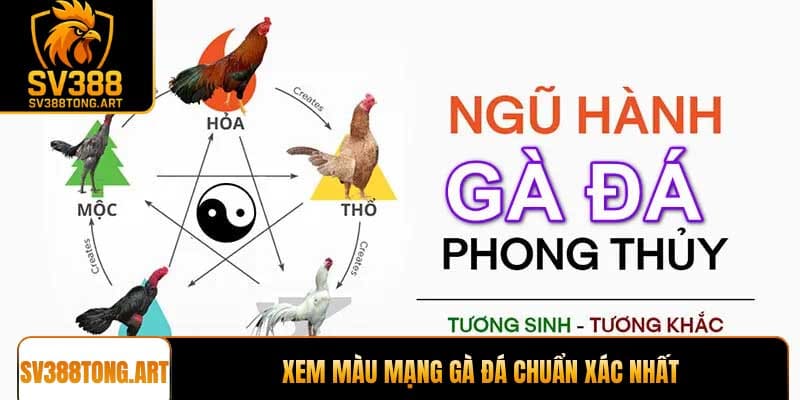 Xem màu mạng gà đá chuẩn xác